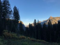 Tonewood-Berkmann-Riefensberg_11